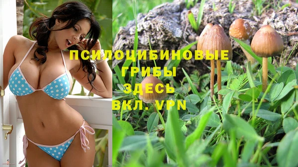 МДМА Арсеньев