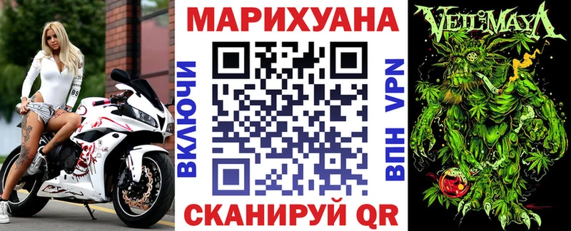 Марихуана план  Новоузенск 
